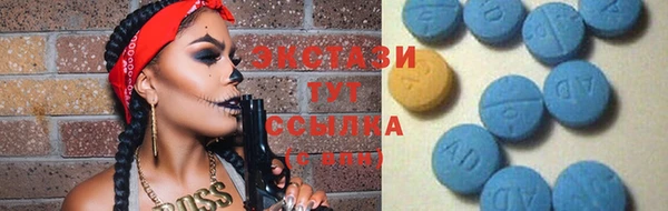 шишки Надым