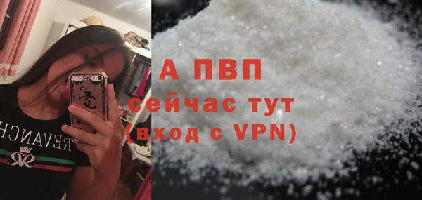 шишки Надым