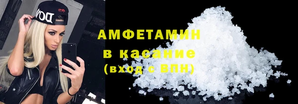 шишки Надым