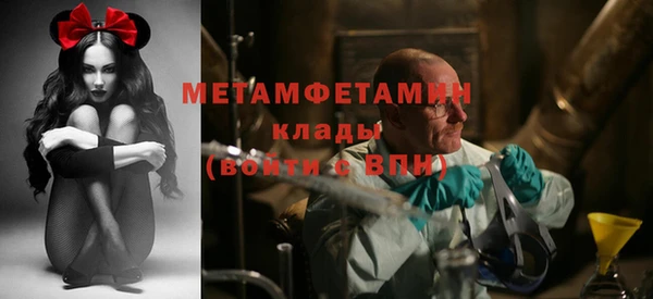 стафф Каменногорск