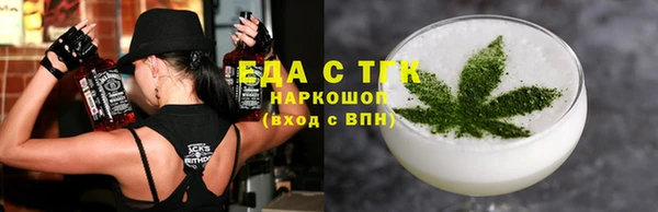 шишки Надым