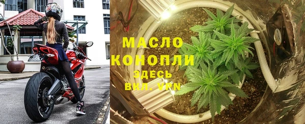 прущие крисы Каменка