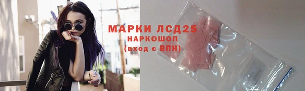 шишки Надым
