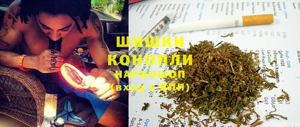 стафф Каменногорск