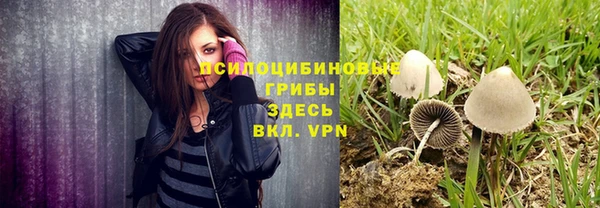 твердый Нефтегорск