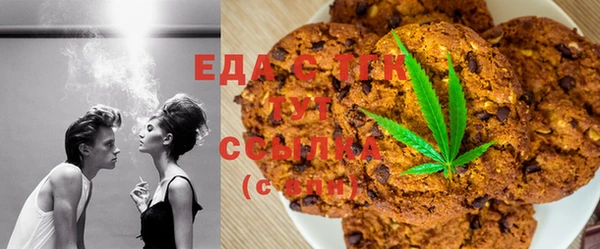 шишки Надым