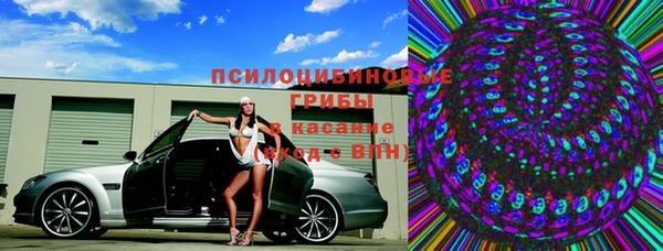 стафф Каменногорск