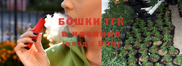 шишки Надым