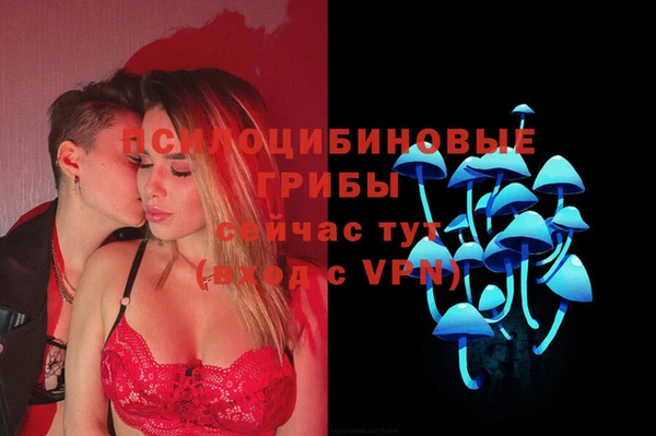 крисы Каменск-Шахтинский