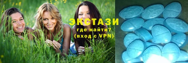 шишки Надым
