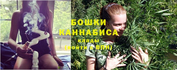 шишки Надым