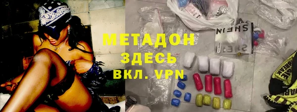 шишки Надым