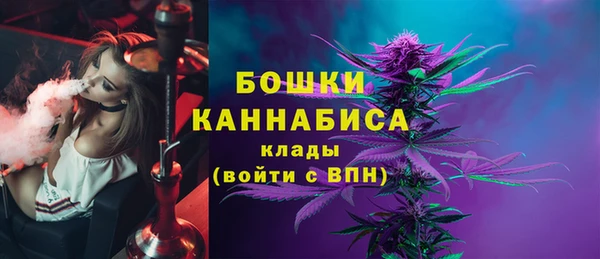 стафф Каменногорск